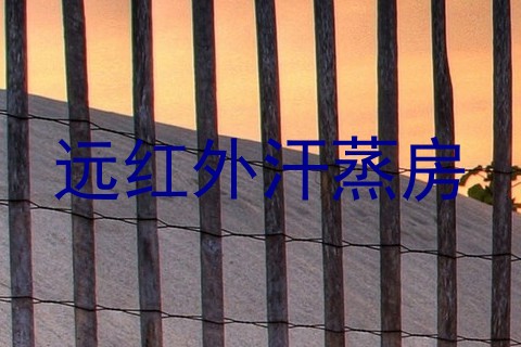 远红外汗蒸房