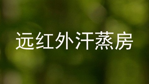 远红外汗蒸房