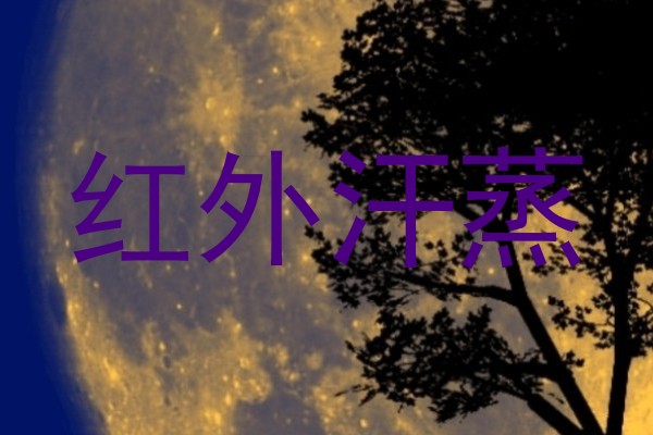 红外汗蒸