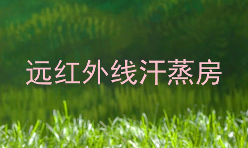 远红外线汗蒸房