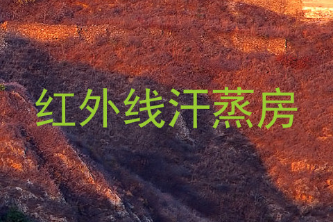 红外线汗蒸房