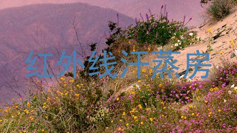 红外线汗蒸房
