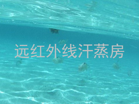 远红外线汗蒸房