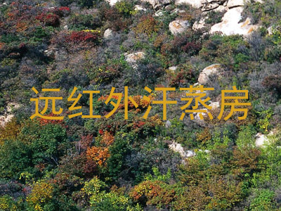 远红外汗蒸房