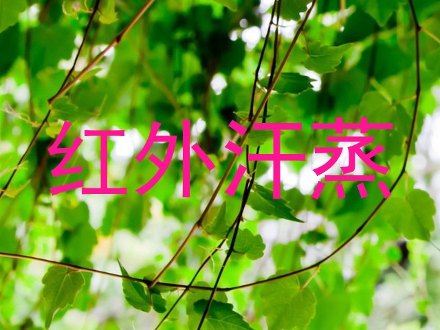 红外汗蒸