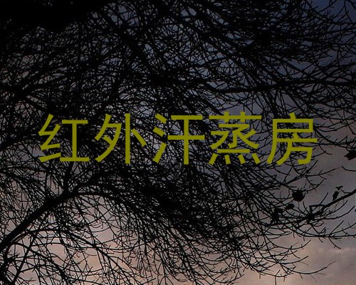 红外汗蒸房