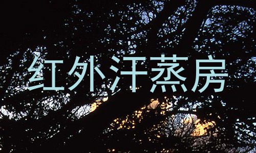 红外汗蒸房