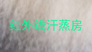 红外线汗蒸房