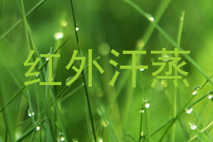 红外汗蒸