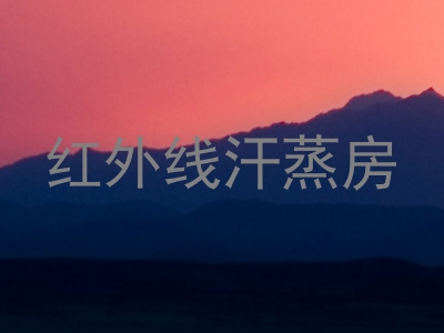红外线汗蒸房