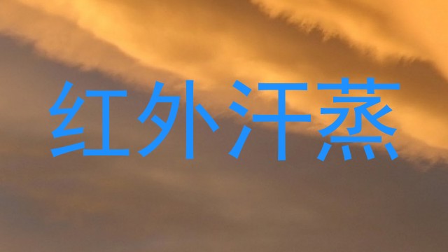红外汗蒸