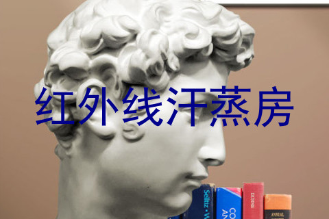 红外线汗蒸房