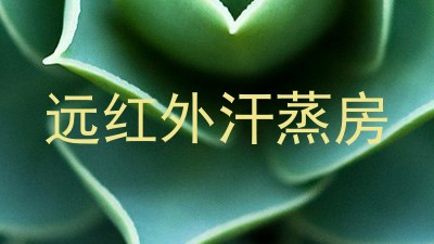 远红外汗蒸房