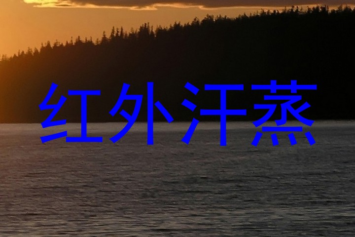 红外汗蒸