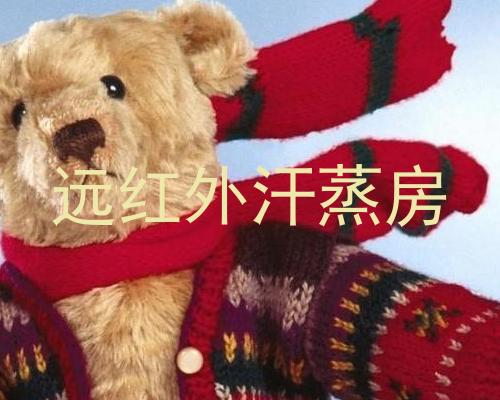 远红外汗蒸房