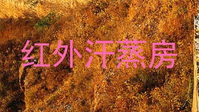 红外汗蒸房