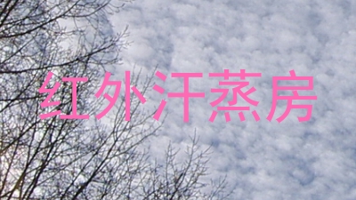 红外汗蒸房