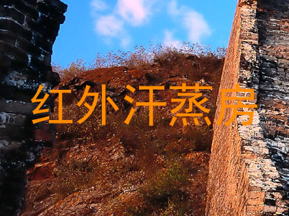 红外汗蒸房