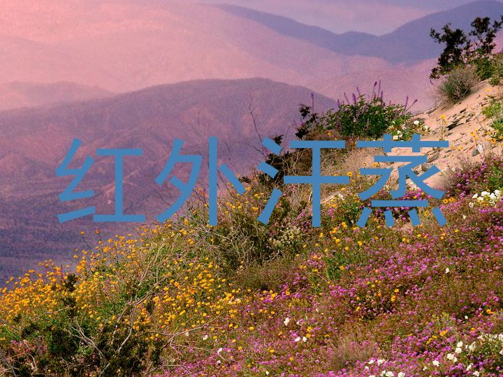 红外汗蒸