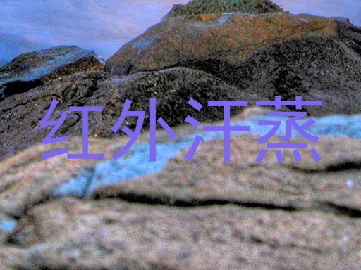 红外汗蒸