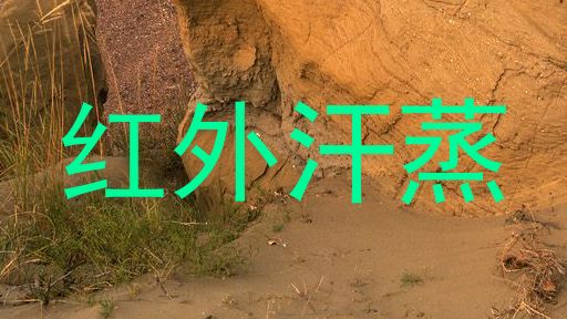 红外汗蒸