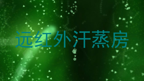 远红外汗蒸房