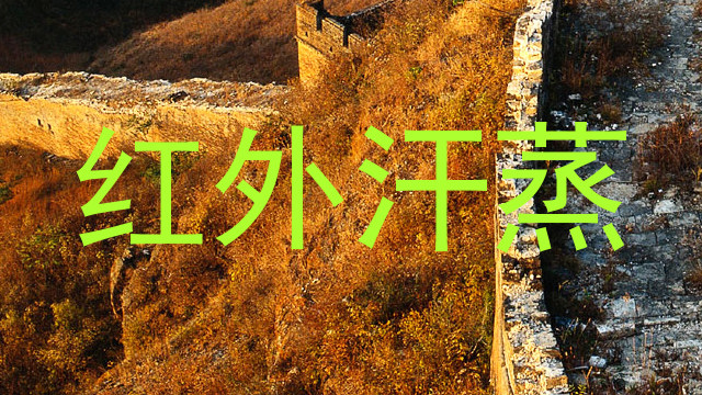 红外汗蒸