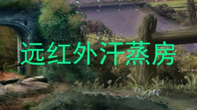 远红外汗蒸房