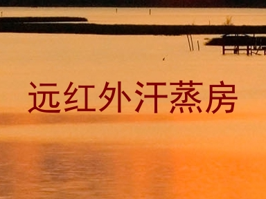 远红外汗蒸房