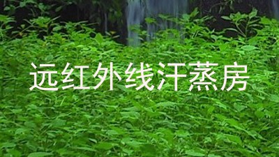 远红外线汗蒸房