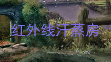 红外线汗蒸房