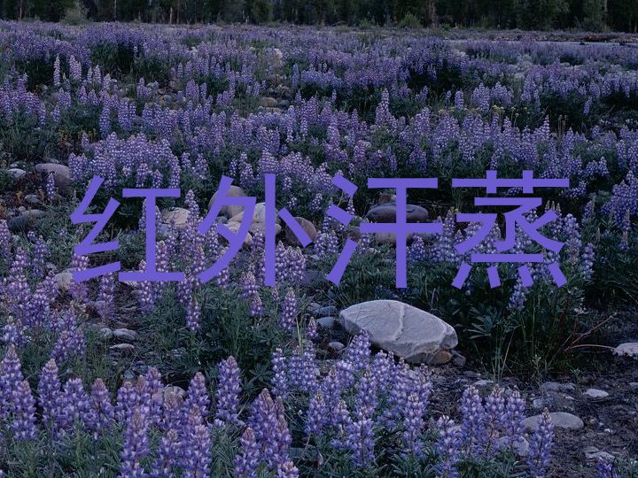 红外汗蒸