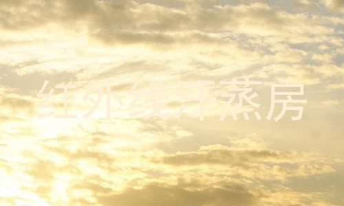 红外线汗蒸房