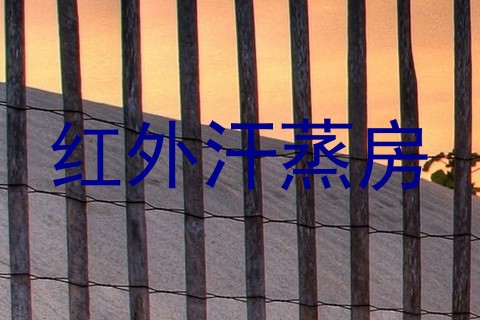 红外汗蒸房