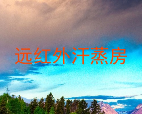 远红外汗蒸房