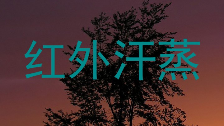 红外汗蒸