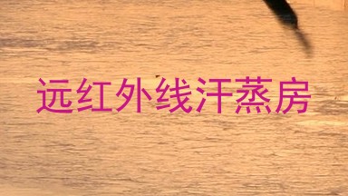 远红外线汗蒸房