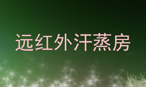 远红外汗蒸房