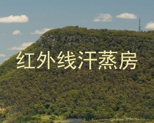 红外线汗蒸房