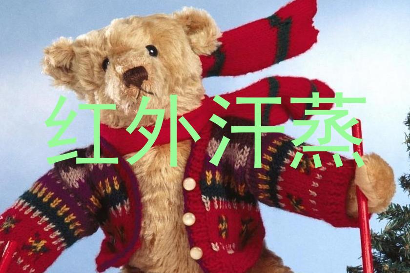 红外汗蒸