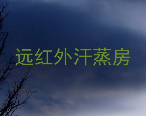 远红外汗蒸房