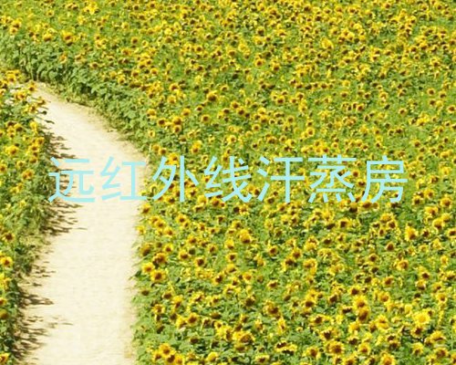 远红外线汗蒸房