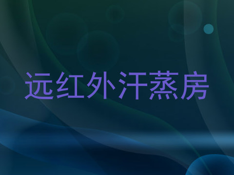 远红外汗蒸房