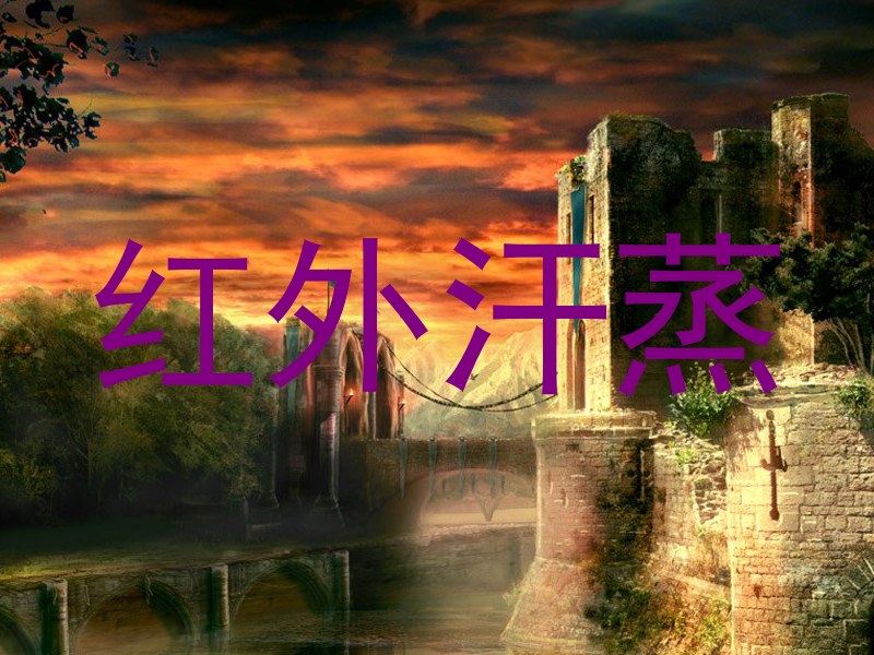 红外汗蒸