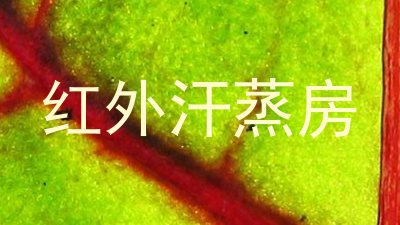 红外汗蒸房