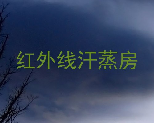 红外线汗蒸房