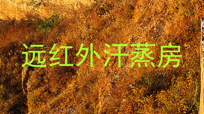 远红外汗蒸房