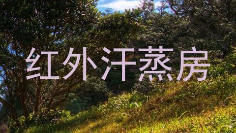 红外汗蒸房