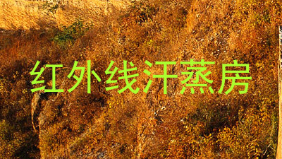红外线汗蒸房