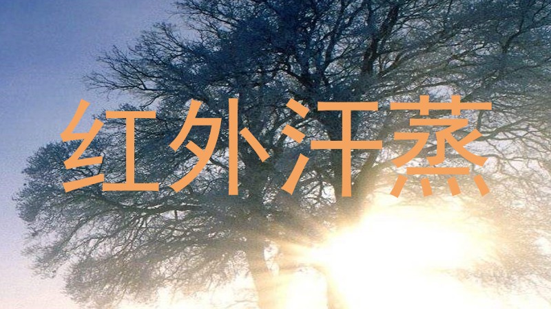 红外汗蒸